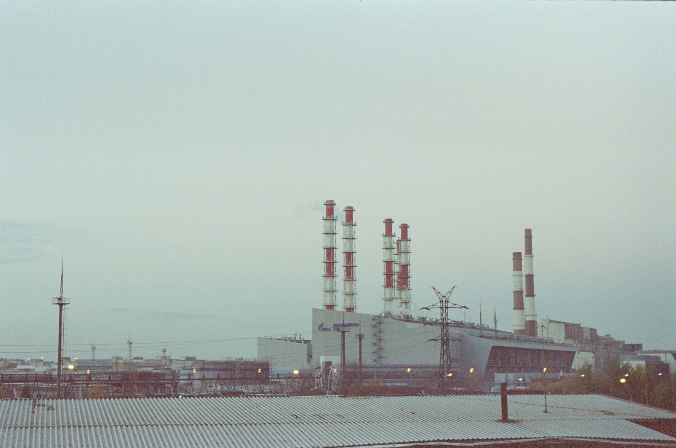 red-shuheart-ZPgUETuFmkQ-unsplash