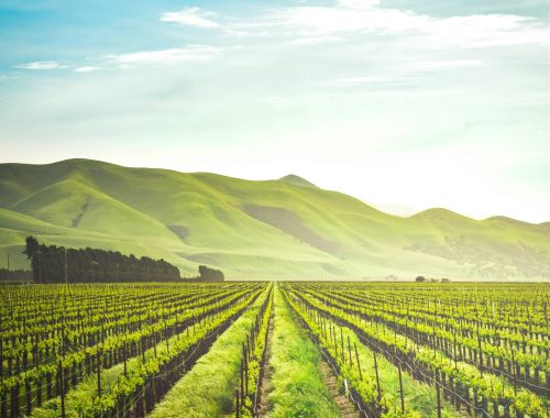 adele-payman-2oYMwuFgnTg-unsplash