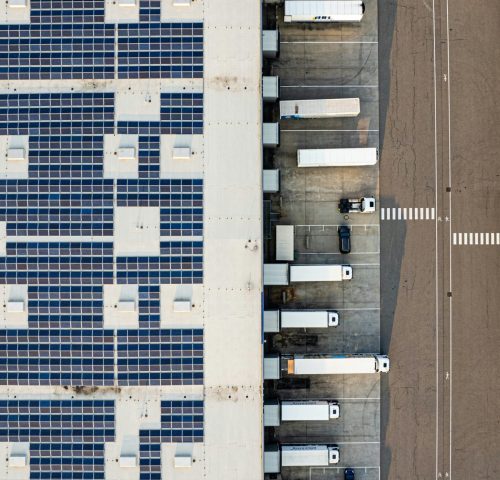 bernd-dittrich-OOW6GDsS2_w-unsplash